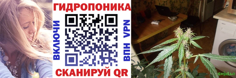 Шишки марихуана планчик  Нижние Серги 